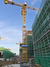 塔式起重机 Zoomlion Tower crane (W6515-10B)